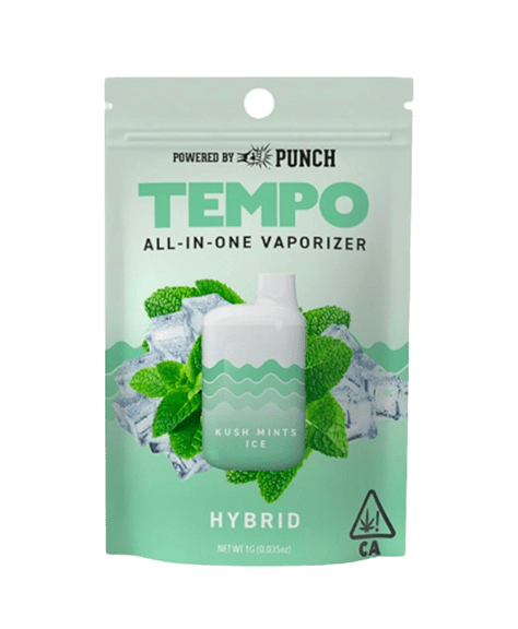 Tempo - AIO Kush Mints Ice 1g Disposable