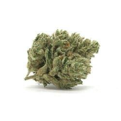 Flying Tiger Farm: Animal Mints(taxes included)