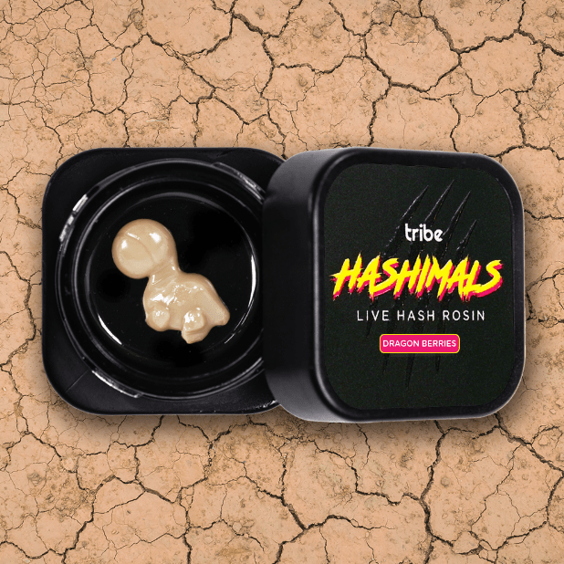 Dragon Berries - Hashimals - Live Hash Rosin - Brontosaurus