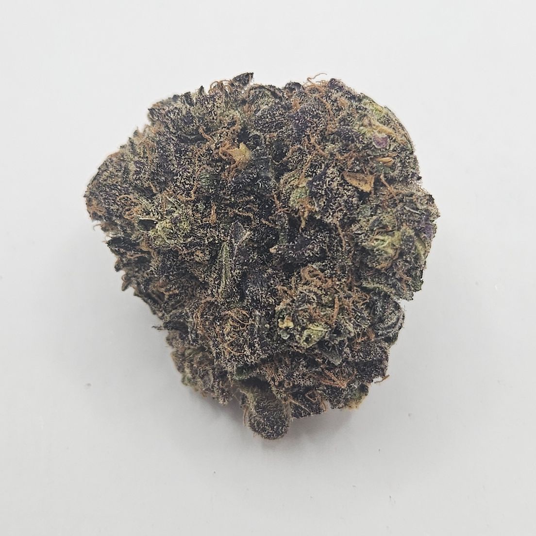 *Indoor - Blackberry - 26% - H