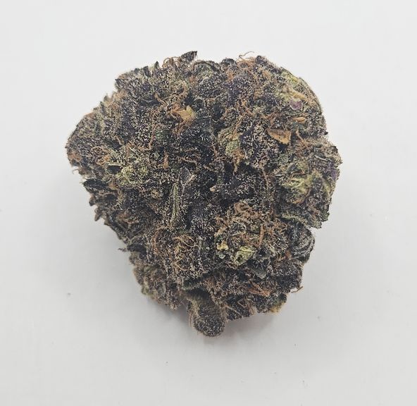 *Indoor - Blackberry - 26% - H