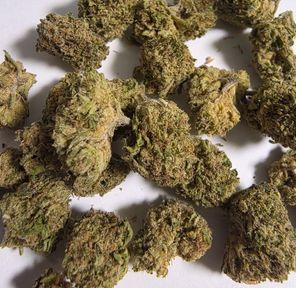 PRIMETIMING -Cherry Dosido 14g smalls (PREORDER $36)