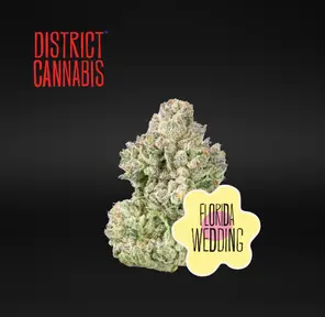District Cannabis | Florida Wedding - Flower | 3.5g | Indica-Hybrid