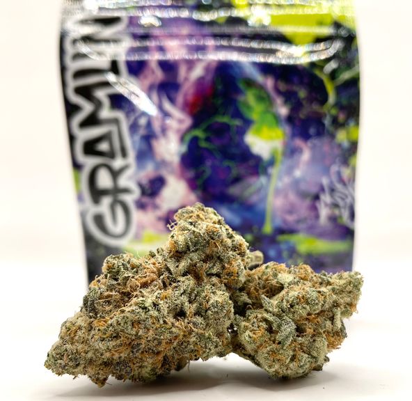 Gramlin - Pineapple Tart Limited Release Flower 3.5g