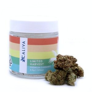 Caliva | Sour Diesel x Kosher Kush