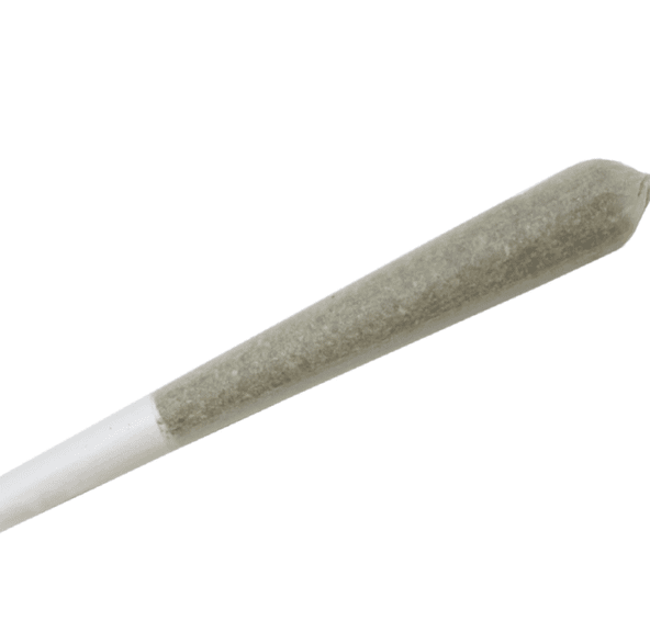 PASSIFLORA PREROLL- LEMON CHERRY GELATO