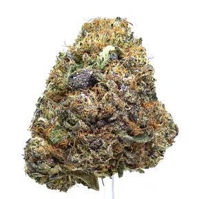 Gummiez | SALE!