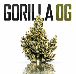 GORILLA OG- 28G | INDOOR FLOWER - LIMITED BATCH