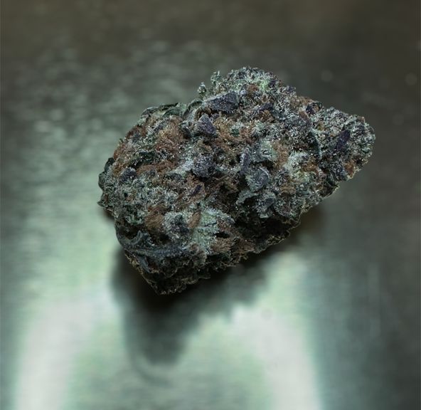 Apple Fritter (Blue)