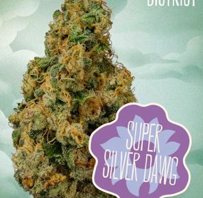 Flower- Super Silver Dawg 3.5g