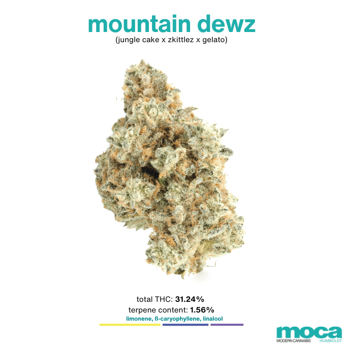 MOCA Flowers - 1/8th Jar - Mountain Dewz