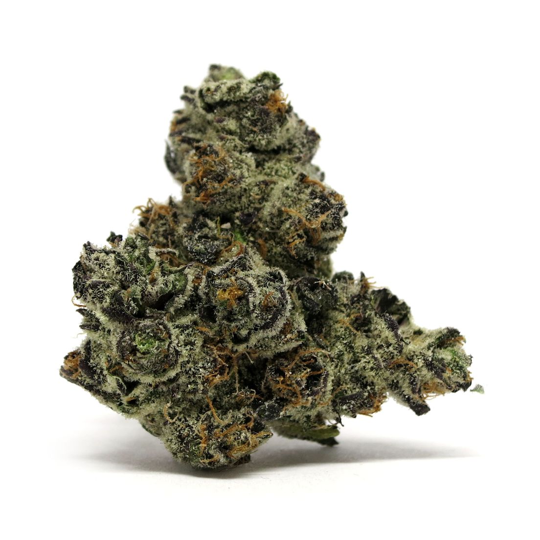 BLACK GUMMY (4.2G) by Terraform