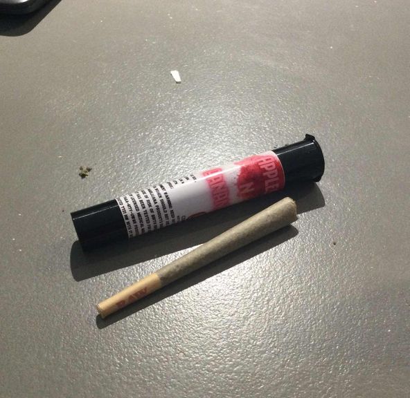 Apple and Bananas 1g Bee Elevated preroll