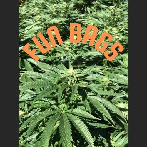 Fun Bags - Black Cherry 28g