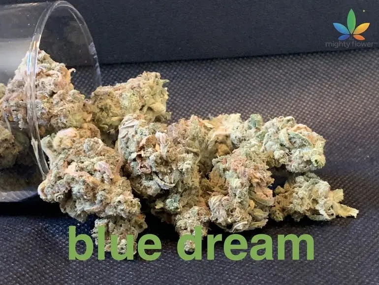 blue dream  top shelf