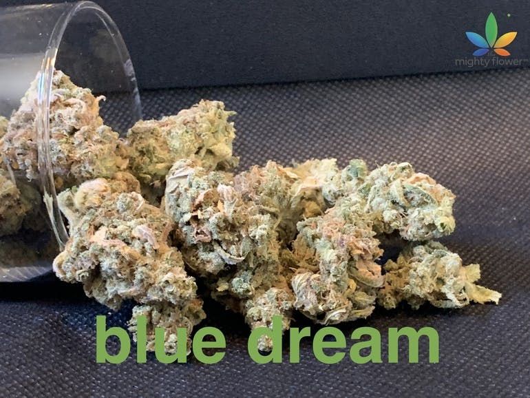 blue dream  top shelf