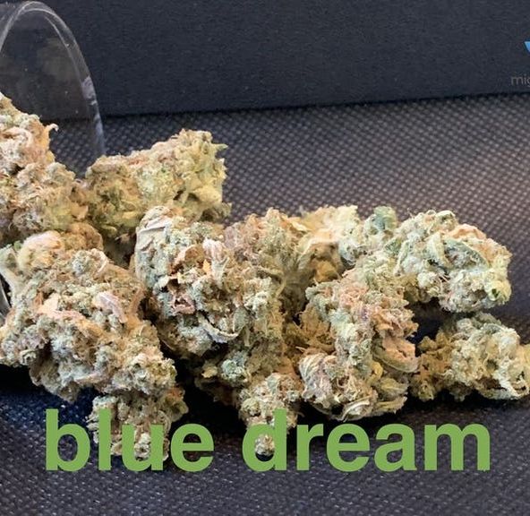 blue dream top shelf