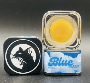 Black Cat Concentrates -1g - Blue Dream