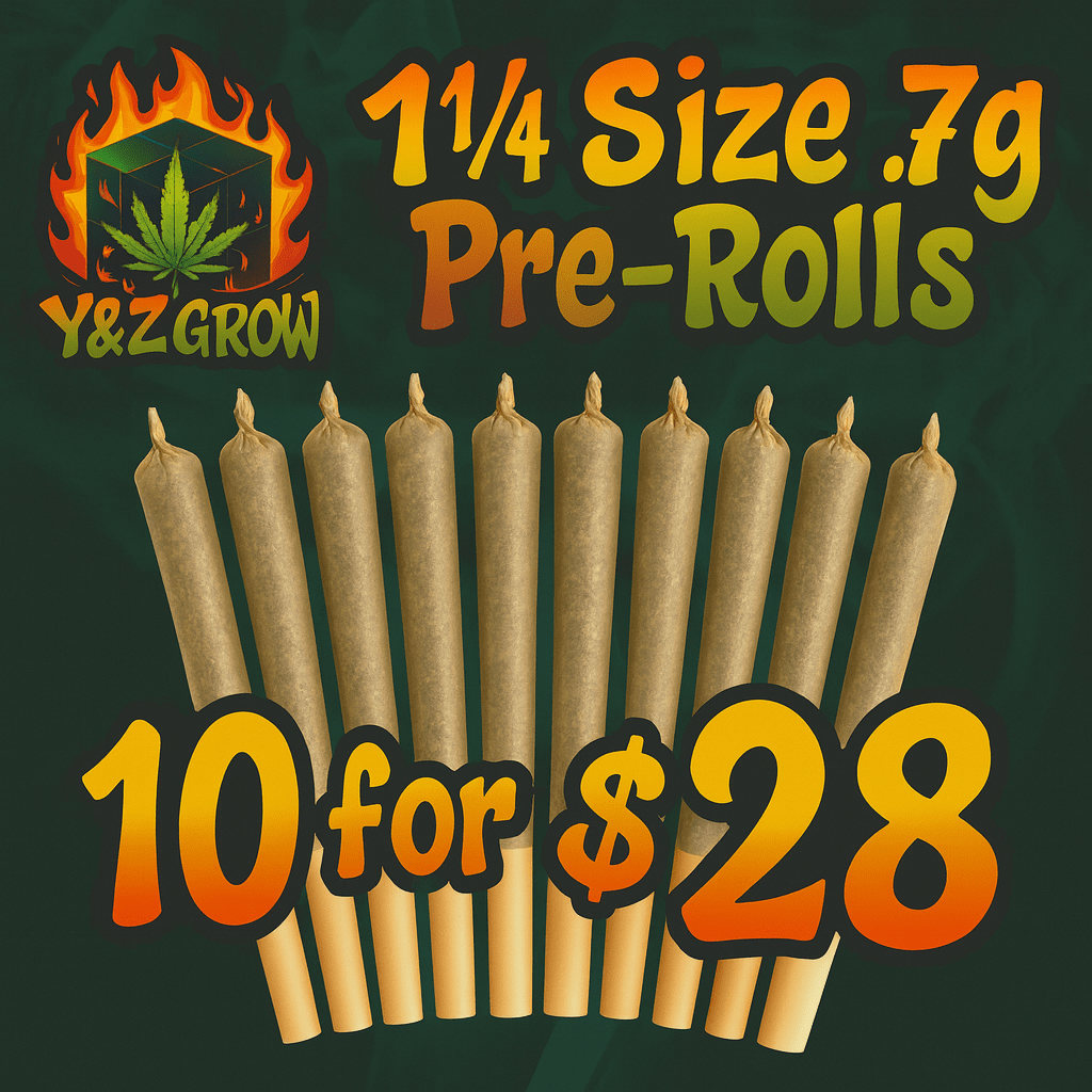 1¼ Size .7g Pre-Roll: Blackberry Kush (Indica) 10 Pack