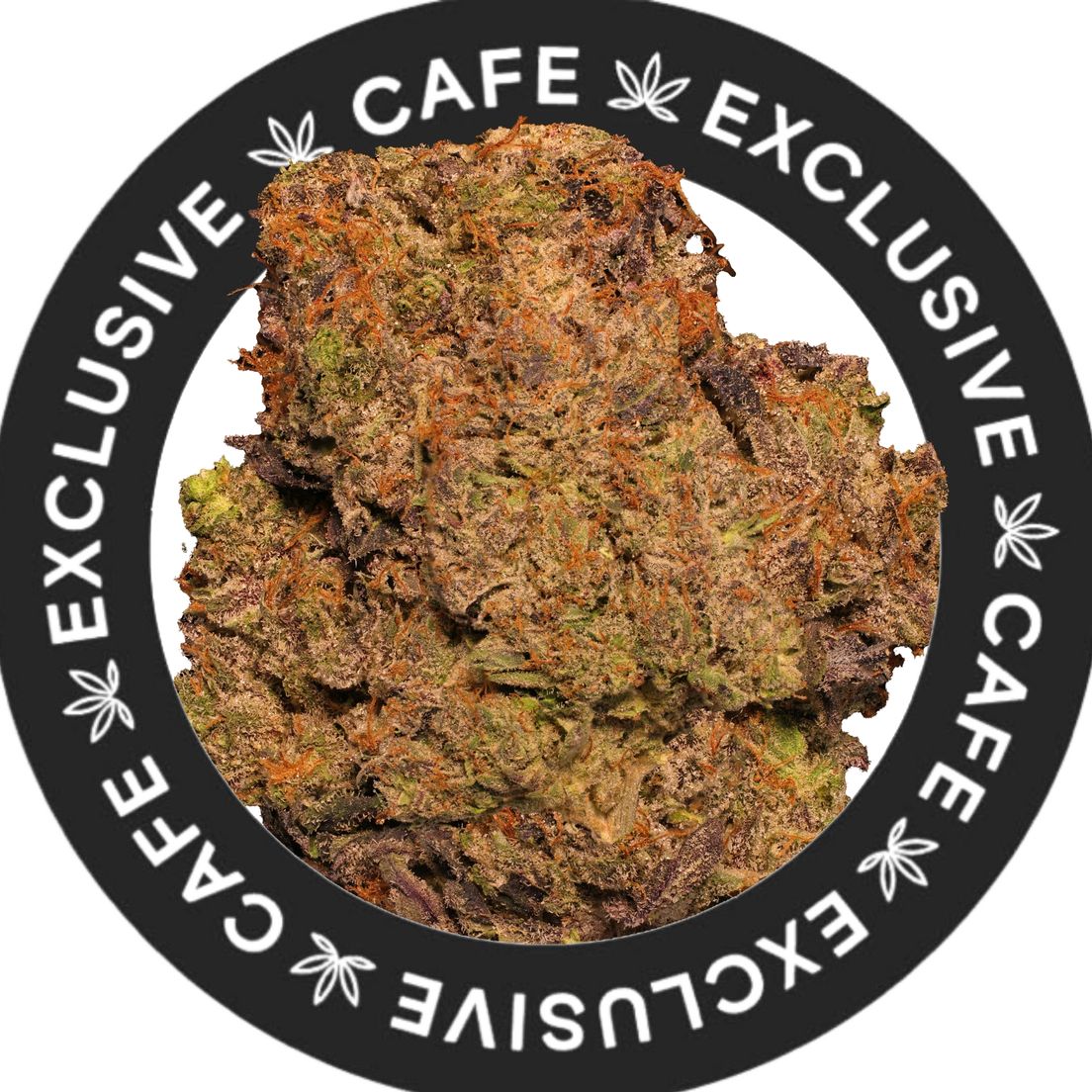 7G CAFE EXCLUSIVES- DOUGHBOY PINK