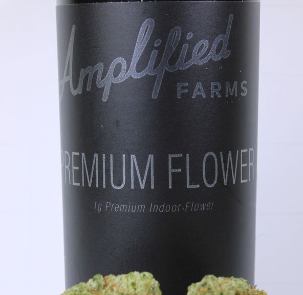 Cereal Milk - 1g (35% THC) Amplified Farms
