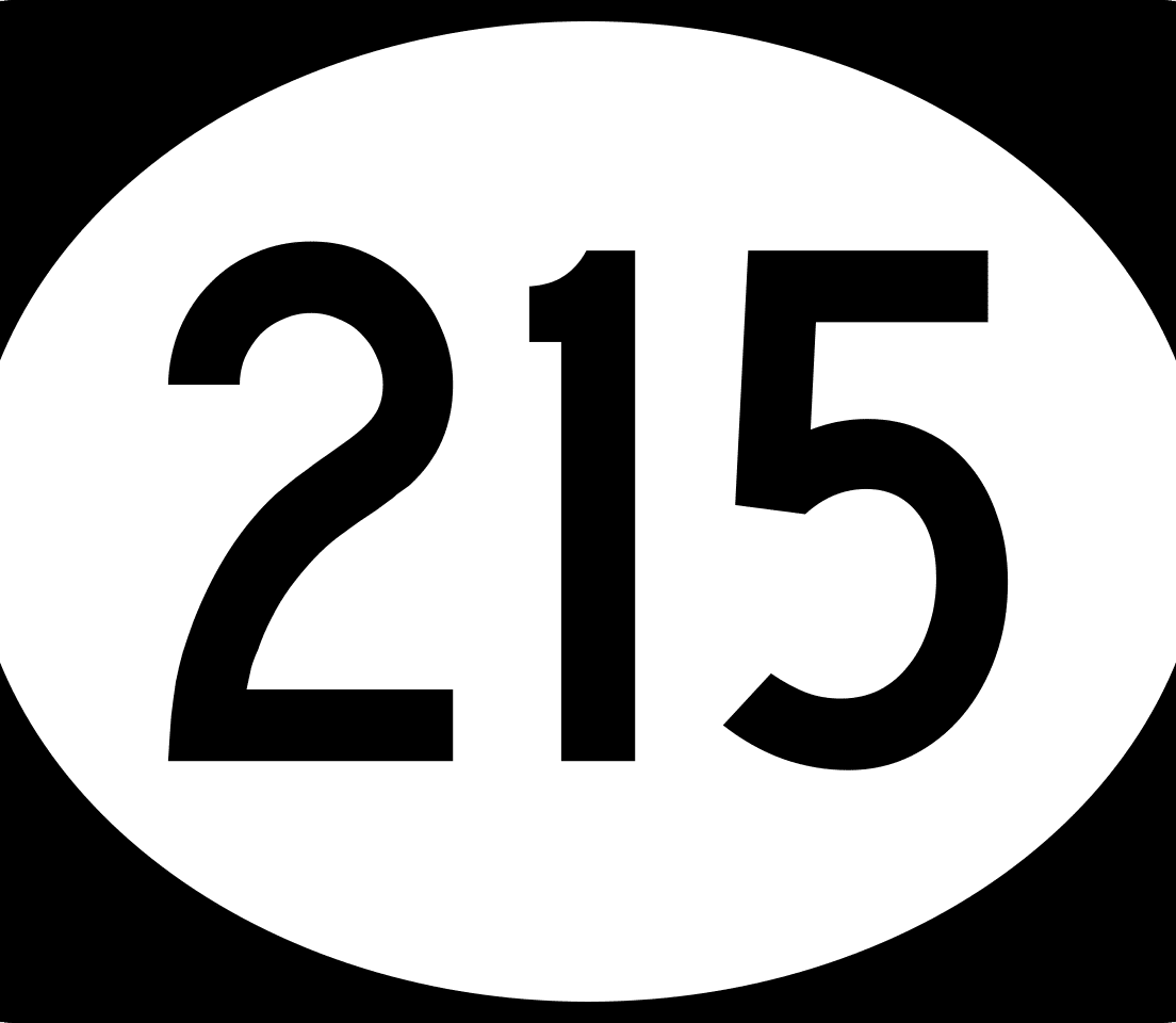 215 Concentrates - Sauce - 1g - LA Confidential