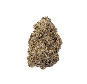 Toasted Strudel (Exotic)