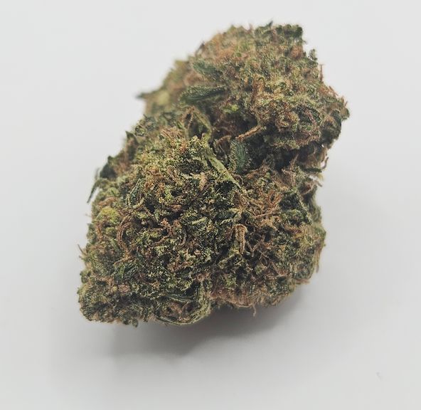 *Indoor - El Patron - 24% - H
