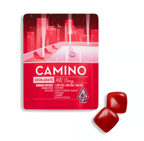 Kiva Confections — Camino 7.20 g