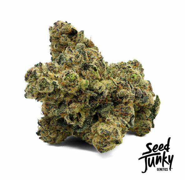 Seed Junky - 4g Pre-Roll Pack (Cherry)