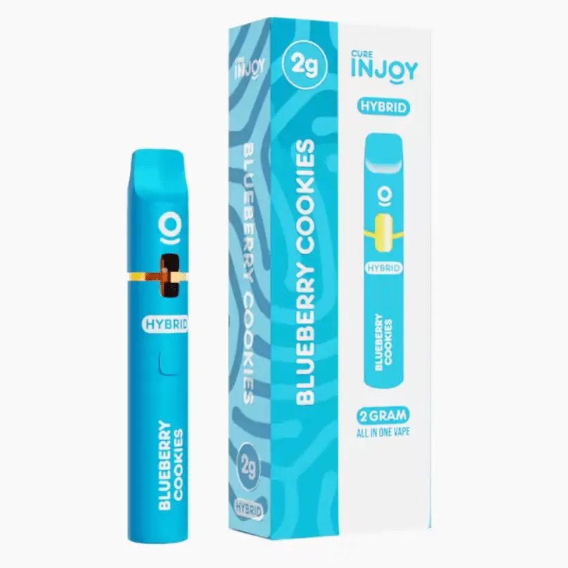 Blueberry Cookies All in One Device 2.00 g