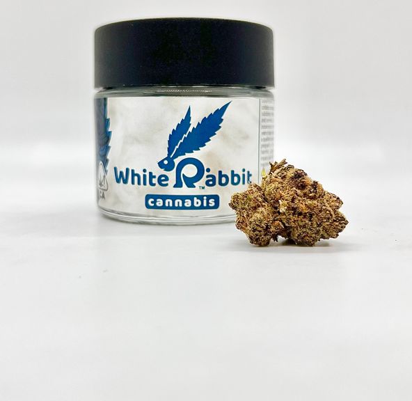 1/8 Magma Cookies (Indoor/26.39%/Hybrid - Indica Dom.) - White Rabbit