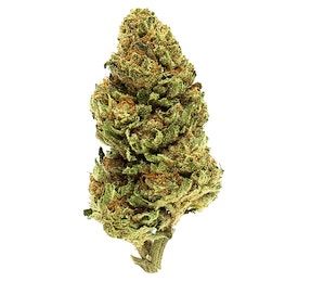 BUZZED Caramel Gelato 1/4 Ounce/7Grams(31%THC,INDICA)