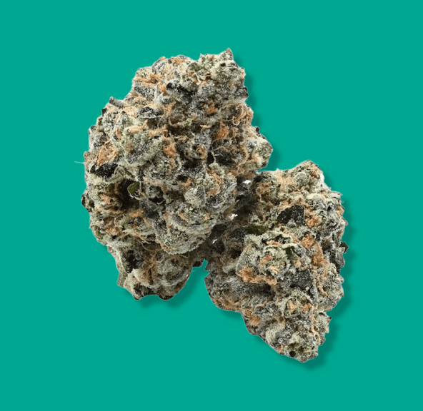 Banana Cream 3.5g Flower (@lodestar_cannabis)