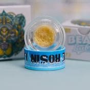 Bear Labs: Tier 4