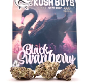 Kush Boys - Black Swanberry (29.48%/Hybrid - Sativa Dominant) - 3.5 g