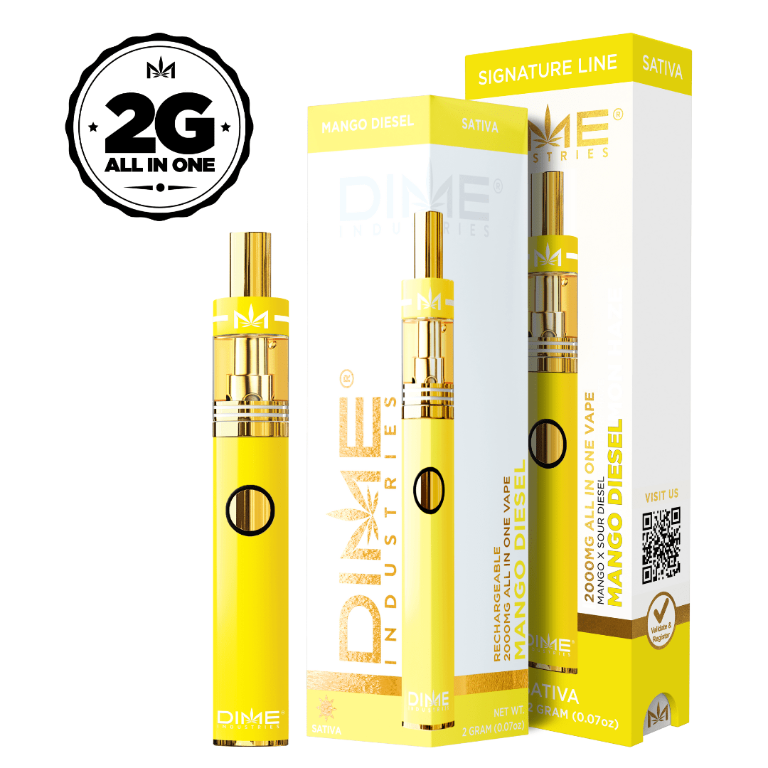 DIME MANGO DIESEL DISPOSABLE 2G