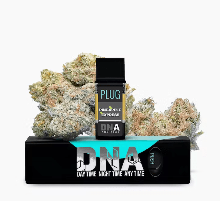 PLUG DNA: Pineapple Express