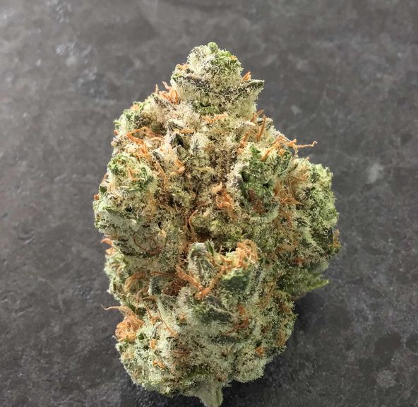 Black Jack Glue