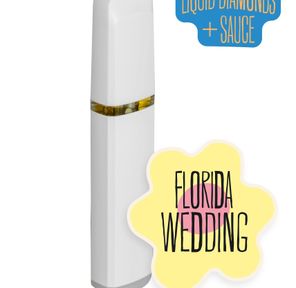 Disposable-Florida Wedding Liquid Diamonds And Sauce