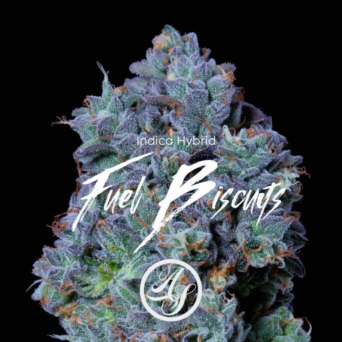 Alt Sol | Fuel Biscuits | Flower | 3.5g | Indica-Hybrid