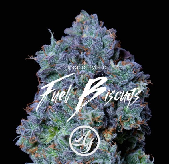 Alt Sol | Fuel Biscuits | Flower | 3.5g | Indica-Hybrid