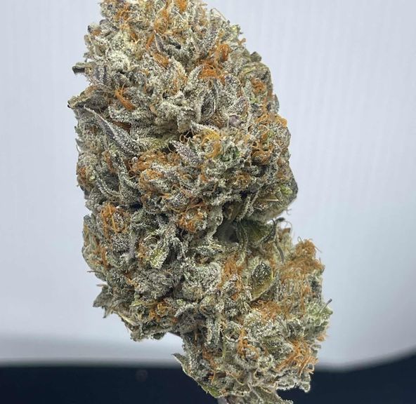 Dessert Delight