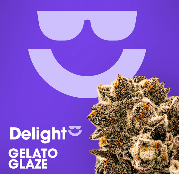Delight | Gelato Glaze | 1g Pre-Roll