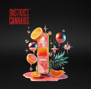 District Cannabis | DomPen Disposable Vape Cart | Pineapple Orange