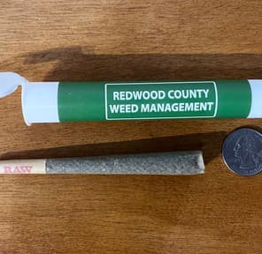 RCWM Preroll - Apple Fritter, 1 gram