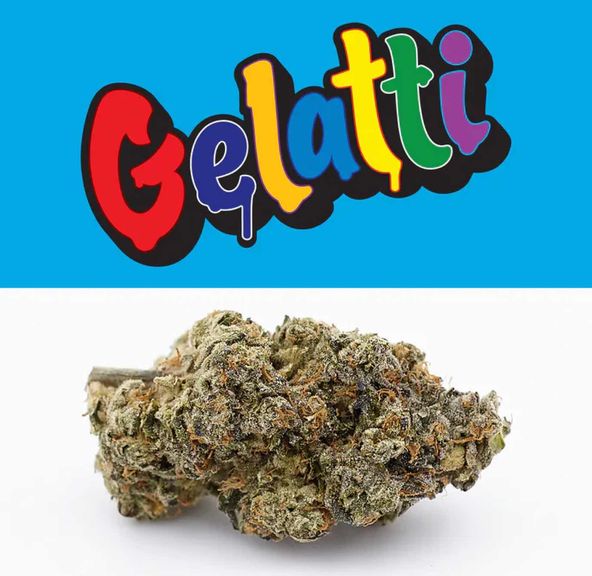 Cookies - Flower 3.5g Pouch Indoor Gelatti