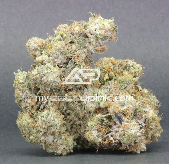 Astro Pink Lot 4049 Dynamite Pink