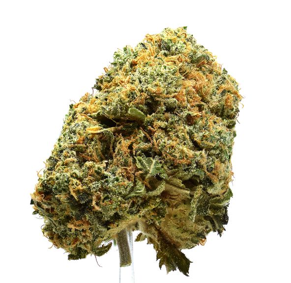 Blue Nerds | $100/oz