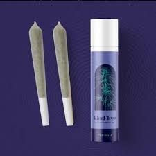 Tea Time #6 | 2pk/1.0g (P-I-59)